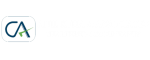 Anil K Jha & Associates Transparent Logo